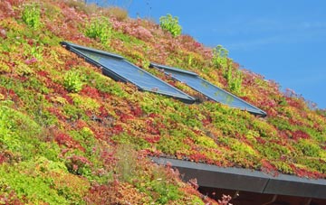 Passenham living roof systems