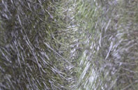 Passenham fibreglass roof work